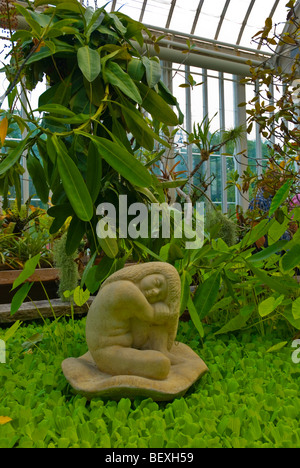 Palm tree house dans le parc Trädgårdsföreningen parc horticole à Gothenburg Suède Europe Banque D'Images