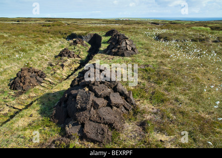 Couper la tourbe et empilé pour sécher sur la lande près de Port de Ness, Isle Of Lewis, Scotland Banque D'Images