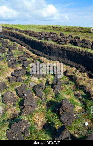 Couper la tourbe et empilé pour sécher sur la lande près de Port de Ness, Isle Of Lewis, Scotland Banque D'Images