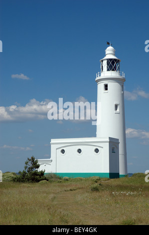 Hurst Point Lighthouse, Hampshire, England, UK Banque D'Images