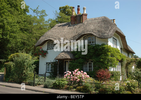 Cottage de ruche, Swan Green, Lyndhurst, New Forest, Hampshire, England, UK Banque D'Images