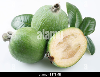 Feijoa sur fond blanc Banque D'Images