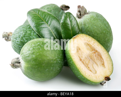 Feijoa sur fond blanc Banque D'Images