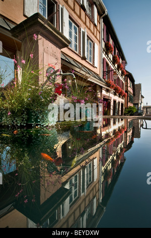 RIQUEWIHR fontaine à eau avec poissons rouges dans l'eau claire propre Riquewihr Alsace France Banque D'Images