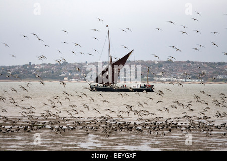 Bateau à voile dépasse un sanctuaire d'oiseaux sur l'île de Sheppey dans le Kent, Angleterre. Banque D'Images