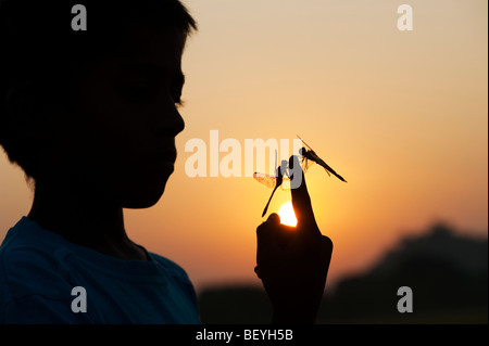 Jeune Indien avec libellules sur son doigt au lever du soleil. Silhouette. L'Inde Banque D'Images