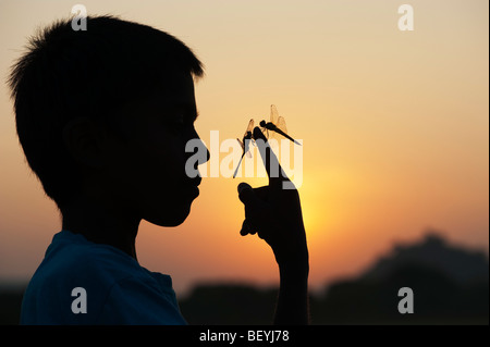 Jeune Indien avec libellules sur son doigt au lever du soleil. Silhouette. L'Inde Banque D'Images