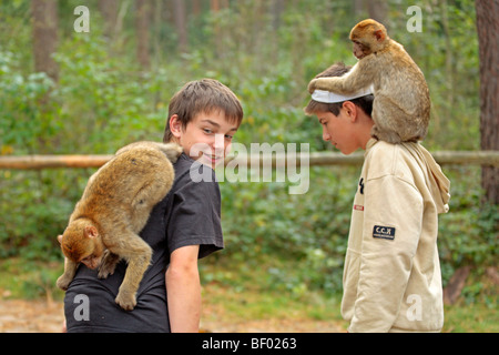 Adolescent ayant un contact étroit avec un singe de Barbarie au zoo Banque D'Images