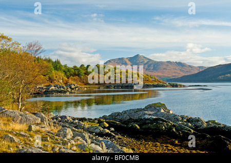 Glenborrodale Ardnamurchan Peninsula sur le seminaire Interreg Juin 2010/1 sur la côte ouest de l'Écosse Argyll. 5447 SCO. Banque D'Images