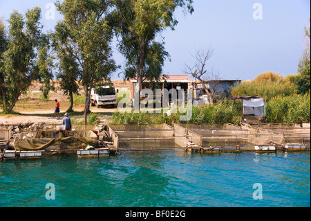 Sur Fishfarm près de la rivière de Manavgat Antalya en Turquie du sud de la Méditerranée Banque D'Images