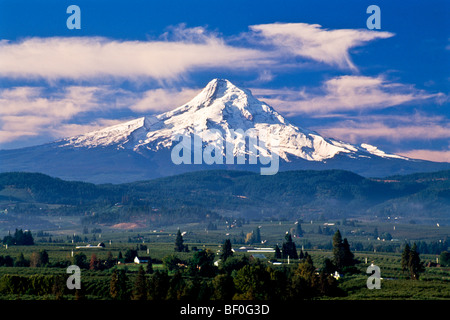 Vue du Mt. Capot et Hood River Valley, Hood River Comté (Oregon) Banque D'Images