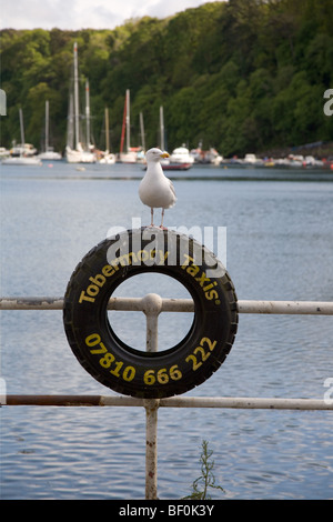 La publicité des pneus des taxis dans Tobermory avec mouette Banque D'Images