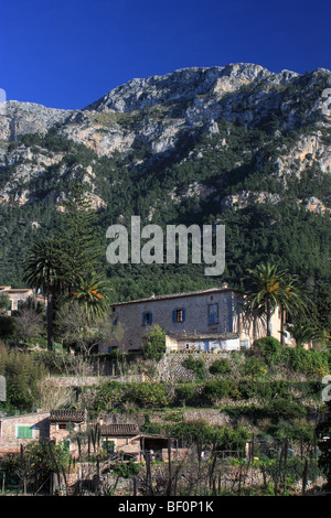 Dejá, Serra de Tramuntana, l'île de Majorque, Espagne Banque D'Images