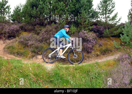 Les amis du vélo sur un cours de vélo de montagne cross-country Banque D'Images