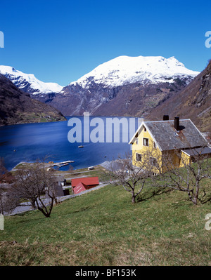 Vue pittoresque de la petite ville touristique de Geiranger qui se trouve à la tête de l'Geirangerfjord Banque D'Images