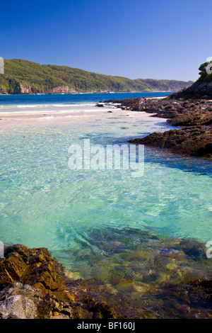 Les eaux claires à la première plage, Myall Lakes National Park, New South Wales, Australia Banque D'Images