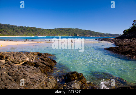 Les eaux claires à la première plage, Myall Lakes National Park, New South Wales, Australia Banque D'Images