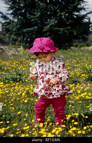 Faustine 16 mois jouant dans un champ de fleurs sauvages jaune Banque D'Images