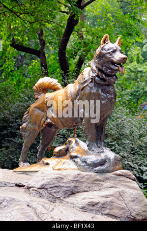 Balto - la statue de chien de traîneau de Frederick Roth dans Central Park, New York Banque D'Images