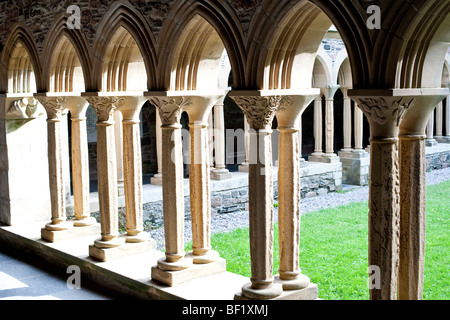 Les cloîtres et sculptures sur pierre de l'abbaye d'Iona l'île d'Iona, Ecosse Banque D'Images