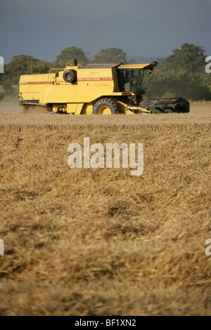 Village de Coddington, Angleterre. Un New Holland TX34 Meca moissonneuse batteuse au travail dans un champ de Cheshire. Banque D'Images