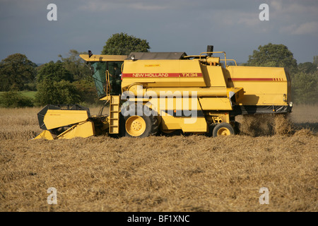 Village de Coddington, Angleterre. Un New Holland TX34 Meca moissonneuse batteuse au travail dans un champ de Cheshire. Banque D'Images