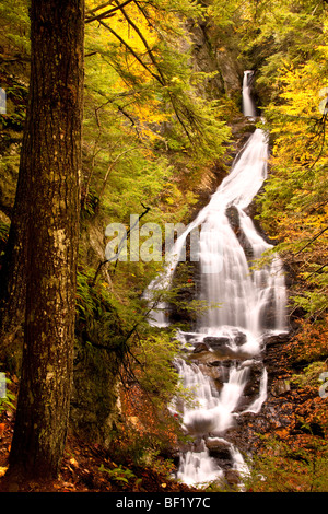 Moss Glen Falls, Stowe au Vermont USA Banque D'Images