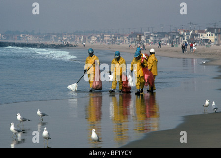 Équipe de nettoyage sur la plage après le déversement de pétrole Banque D'Images