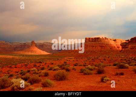 Vallée des Dieux de l'Utah, USA Desert Banque D'Images