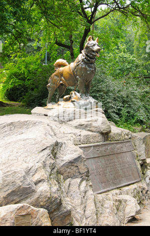 Balto - la statue de chien de traîneau par Frederick Roth dans Central Park, New York Banque D'Images