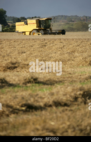 Village de Coddington, Angleterre. Un New Holland TX34 Meca moissonneuse batteuse au travail dans un champ de Cheshire. Banque D'Images