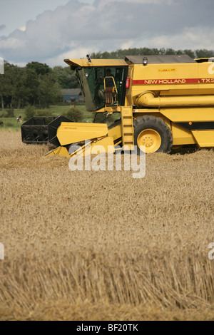 Village de Coddington, Angleterre. Un New Holland TX34 Meca moissonneuse batteuse au travail dans un champ de Cheshire. Banque D'Images