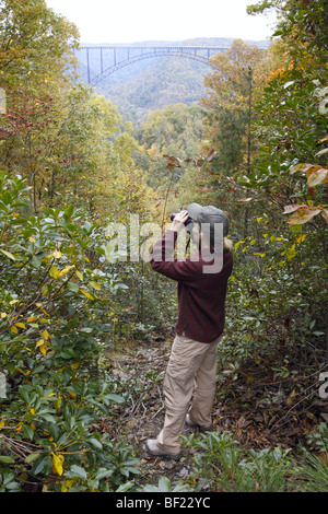 Observateur d'oiseaux avec des jumelles à New River Gorge - Virginie-occidentale - verticale Banque D'Images