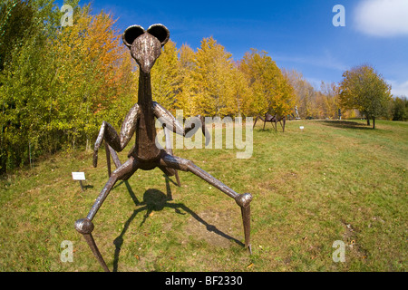 Sculptures dans le Parc des sculptures Griffis dans Ashford Hollow, New York Banque D'Images