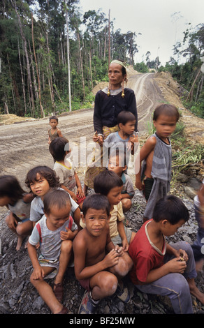 Les enfants et femmes Dayaks blockading route forestière de protestation. Forêt tropicale l'un des plus riches du monde, les éco-systèmes plus anciens, Banque D'Images