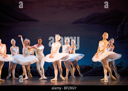 Lac des cygnes dans la véranda du théâtre, Saint Pétersbourg, Russie Banque D'Images