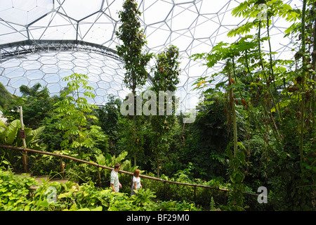 Eden Project, Bodelva, Cornwall, Angleterre, Royaume-Uni Banque D'Images