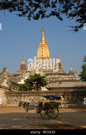 Entraîneur de chevaux en face d'une pagode à Bagan, Myanmar, Birmanie Banque D'Images