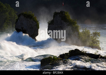 Chutes du Rhin (la plus grande chute d'eau) et le château de Laufen, Laufen-Uhwiesen, Canton de Zurich, Suisse Banque D'Images