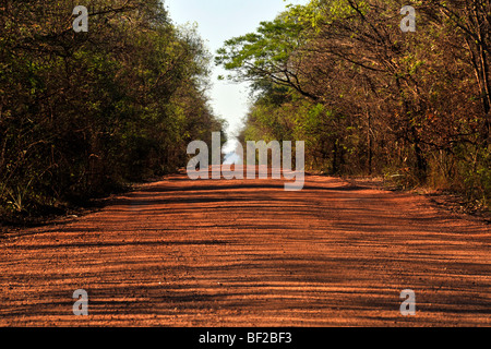 Chemin de terre près de Bonito, Matgreeno Grosso do Sul au Brésil Banque D'Images