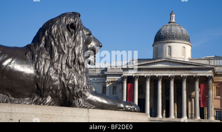 Londres - lion de Nelson à Trafalgar square memorial Banque D'Images