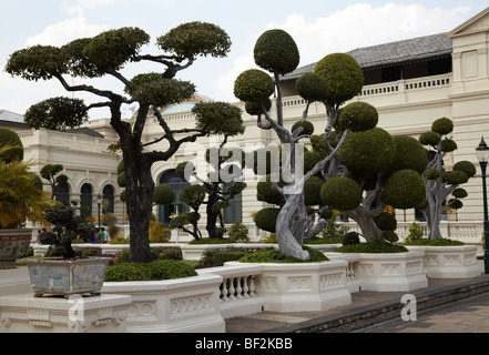 Arbres d'ornement (touche d) au Grand Palais à Bangkok, Thaïlande Banque D'Images