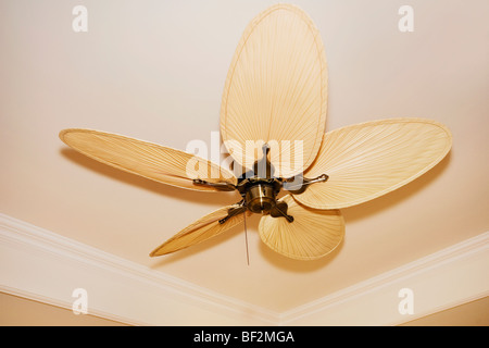 Portrait d'un ventilateur de plafond Banque D'Images