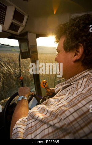 Vue depuis l'intérieur d'une cabine d'un agriculteur l'utilisation de la moissonneuse-batteuse pendant la récolte de maïs / près de Northland, Minnesota, USA. Banque D'Images