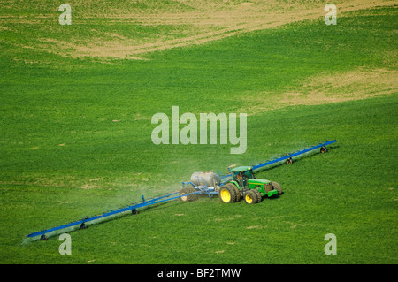 L'application terrestre de l'herbicide contre les mauvaises herbes dans un champ de blé d'hiver de croissance précoce / Région de Palouse, Washington, USA. Banque D'Images