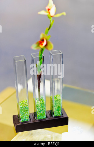 Close-up de vases sur une table Banque D'Images