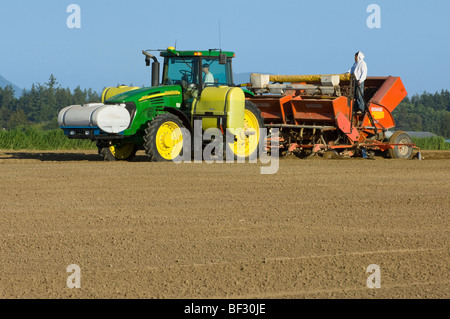 Agriculture - La plantation de pommes de terre avec un semoir 4 rangs / près de Burlington, Vermont, USA. Banque D'Images