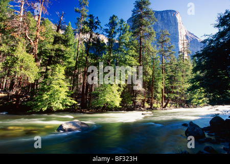 Low Angle View of la Merced River avec le El Capitan, Yosemite National Park, Californie Banque D'Images