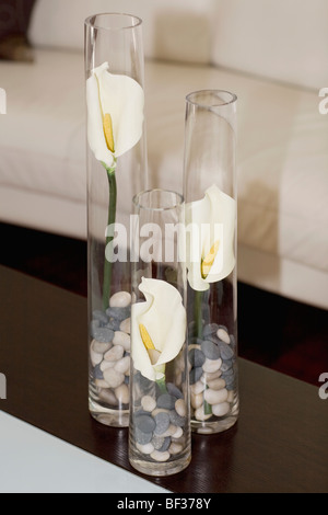 Trois vases sur une table Banque D'Images