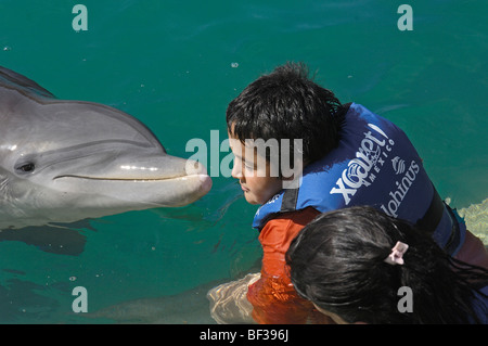 Nager avec les dauphins. Xcaret. L'éco-parc archéologique. Playa del Carmen. L'état de Quintana Roo. Riviera Maya. Yucatan Penin Banque D'Images